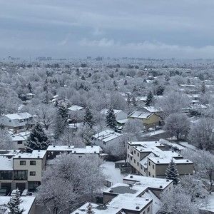 Meet your Posher, Leah